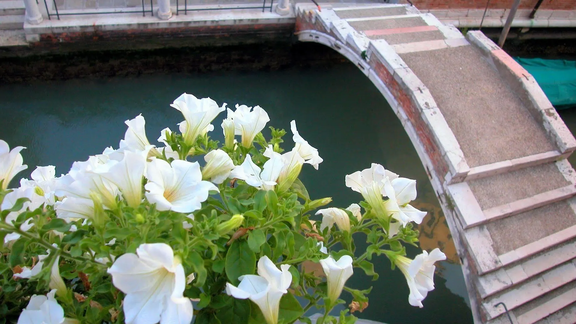 3749 Pontechiodo Bed & Breakfast Venice